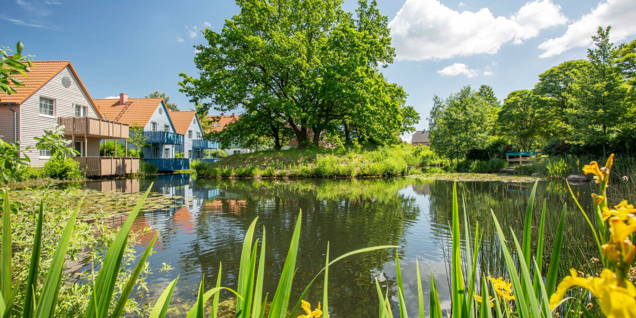 BEECH Resort Fleesensee