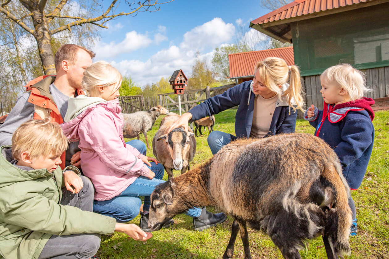 Eine Familie streichelt Ziegen