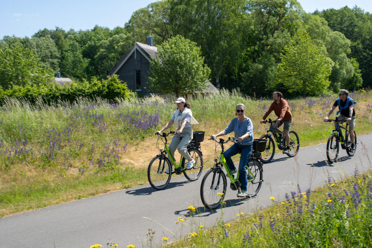 Vier Menschen fahren Fahrrad