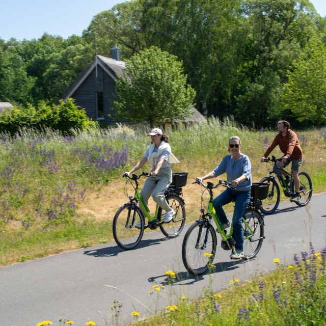 Vier Menschen fahren Fahrrad