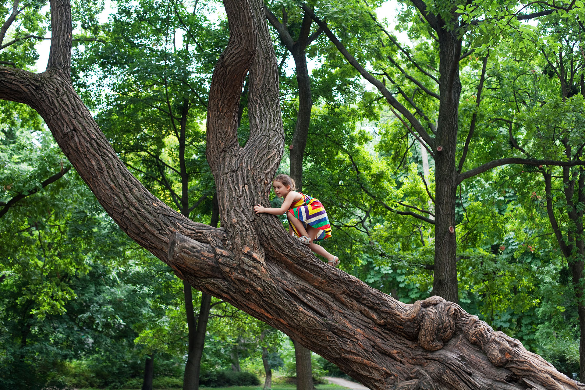 Maedchen klettert auf Baum