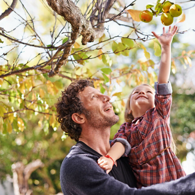 Mann und Tochter unter einem Apfelbaum